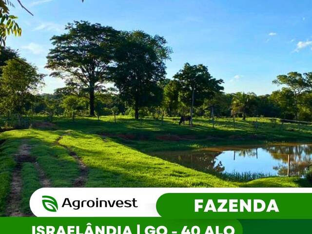 #514 - Fazenda para Venda em Israelândia - GO - 1