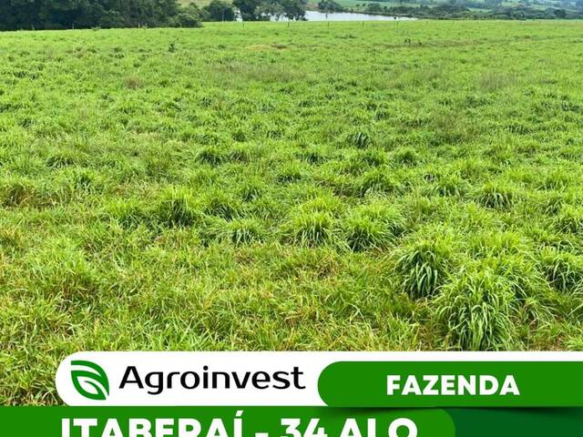 Venda em Zona Rural - Itaberaí
