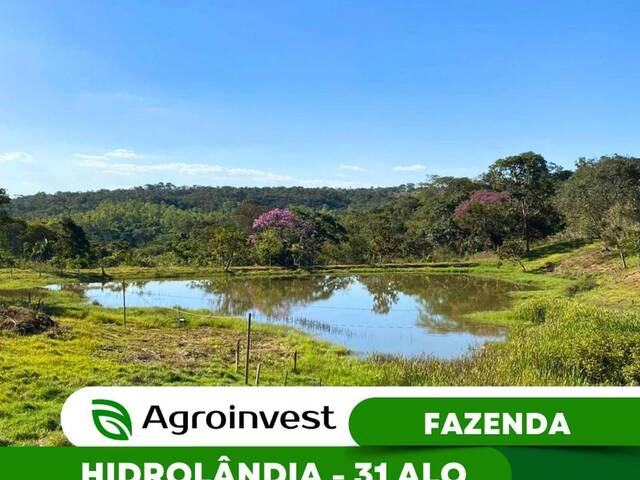 #253 - Fazenda para Venda em Hidrolândia - GO - 1