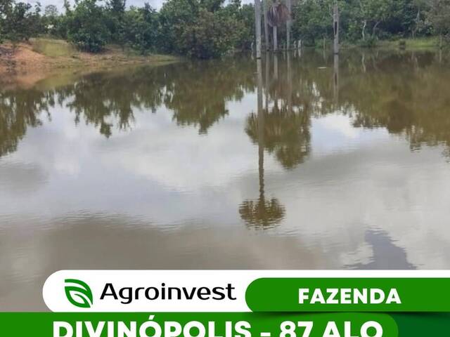 #485 - Fazenda para Venda em Divinópolis do Tocantins - TO - 1