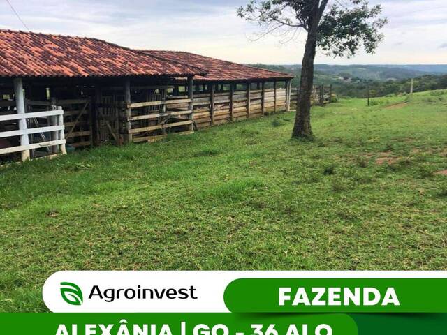 #474 - Fazenda para Venda em Alexânia - GO - 1