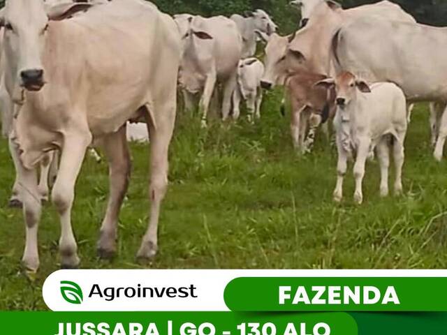 #473 - Fazenda para Venda em Jussara - GO - 1