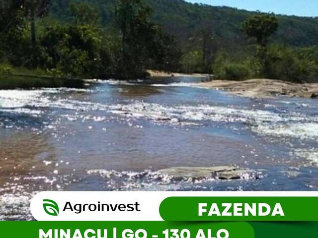 #467 - Fazenda para Venda em Minaçu - GO - 1