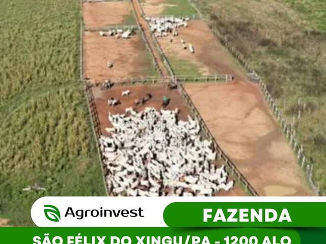 #413 - Fazenda para Venda em São Félix do Xingu - PA