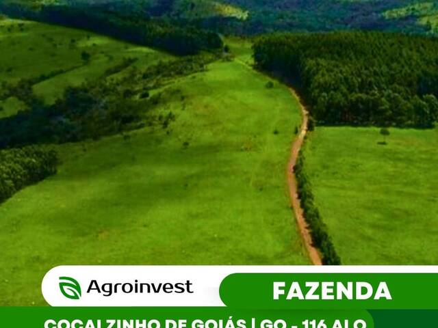 #440 - Fazenda para Venda em Cocalzinho de Goiás - GO - 1