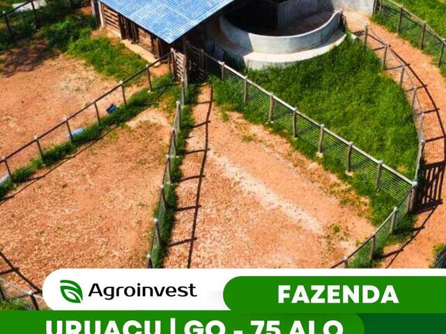 #455 - Fazenda para Venda em Uruaçu - GO