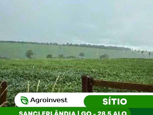 #446 - Sítio para Venda em Sanclerlândia - GO - 1