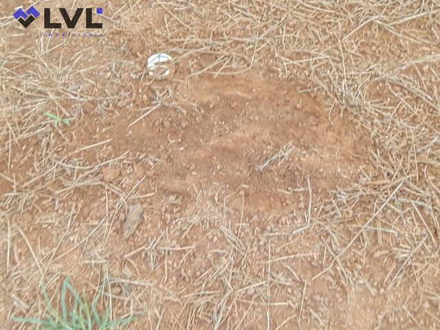 #527 - Fazenda para Venda em Pedro Afonso - TO - 3