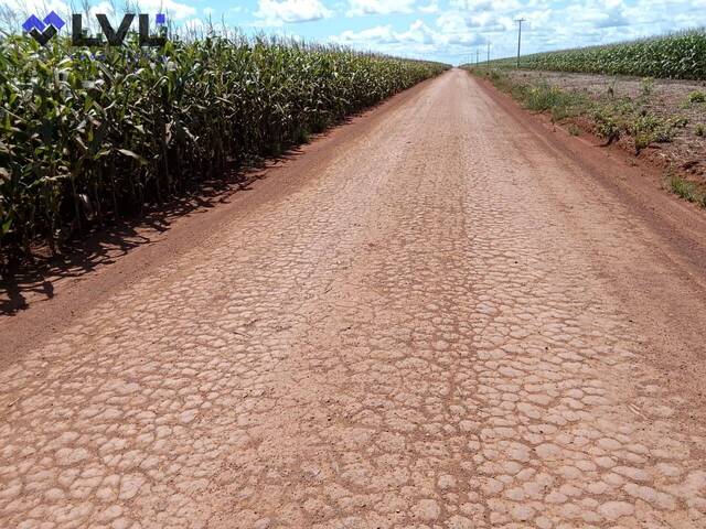 #527 - Fazenda para Venda em Pedro Afonso - TO - 2