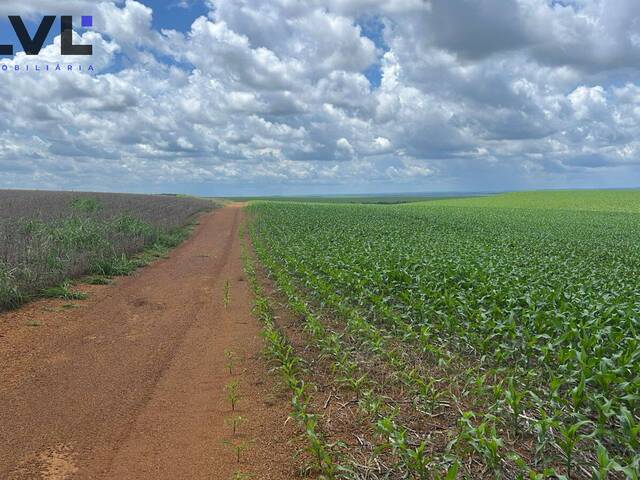 Fazenda para Venda em Pedro Afonso - 4