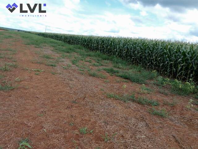 Fazenda para Venda em Pedro Afonso - 5