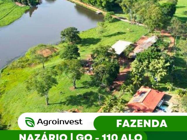 #523 - Fazenda para Venda em Nazário - GO - 1