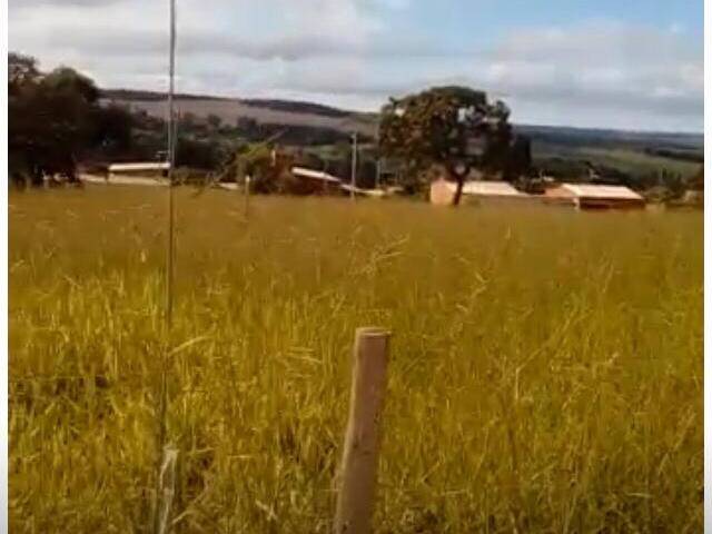 #529 - Terreno para Venda em Anápolis - GO - 3