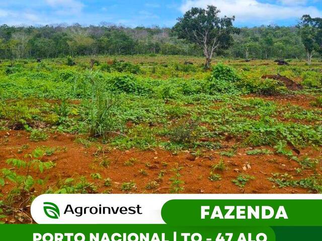 #491 - Fazenda para Venda em Porto Nacional - TO - 1