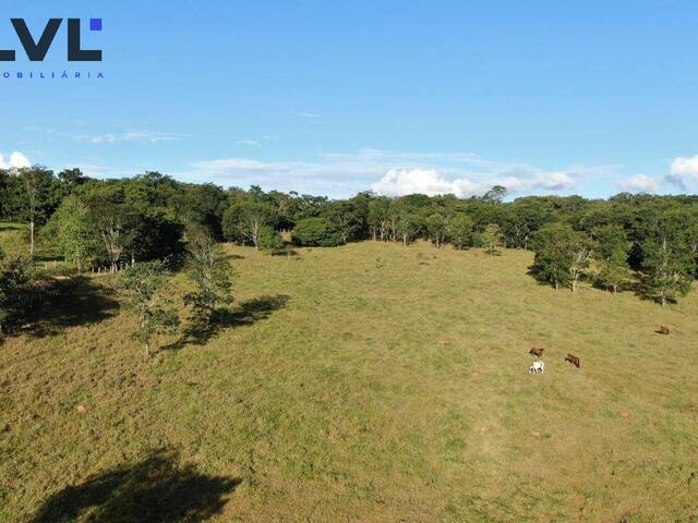 #531 - Fazenda para Venda em Aparecida de Goiânia - GO - 2