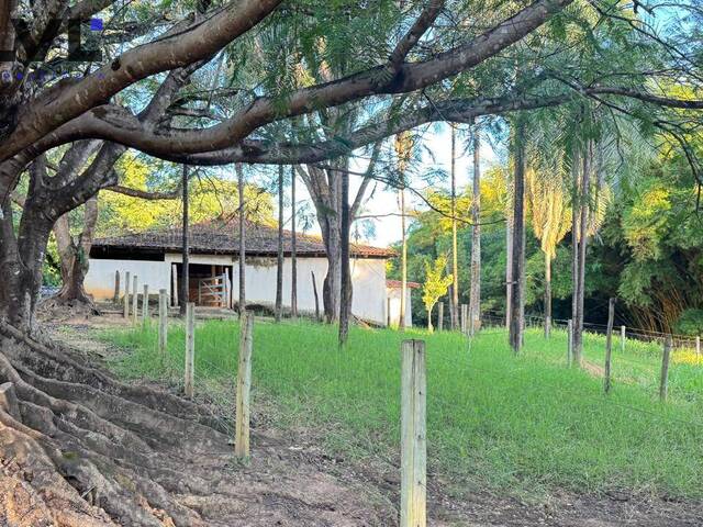 #531 - Fazenda para Venda em Aparecida de Goiânia - GO - 3