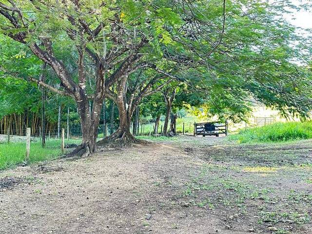 Fazenda para Venda em Aparecida de Goiânia - 4