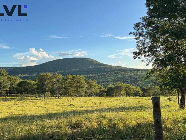 Fazenda para Venda em Aparecida de Goiânia - 5
