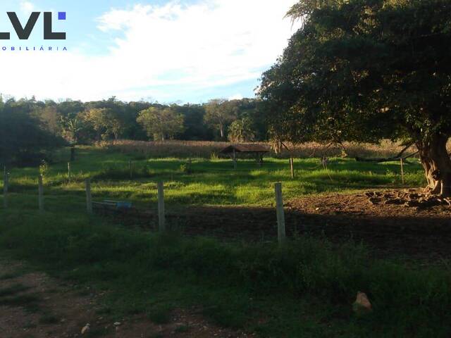 Chácara para Venda em Sanclerlândia - 5