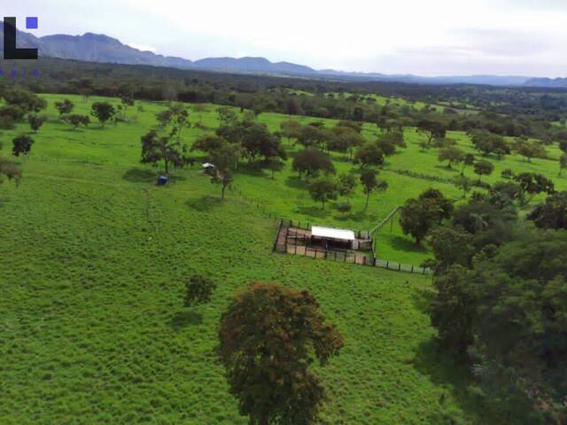 Chácara para Venda em Colinas do Sul - 4