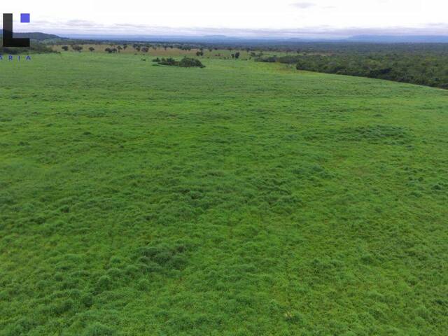Chácara para Venda em Colinas do Sul - 5