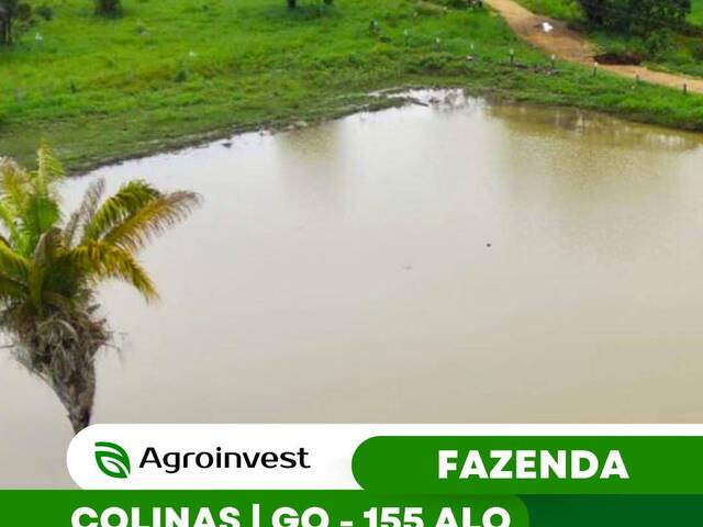 #533 - Chácara para Venda em Colinas do Sul - GO - 1
