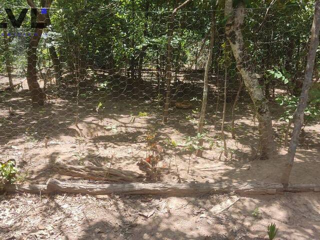 #542 - Fazenda para Venda em Monte Alegre de Goiás - GO - 3