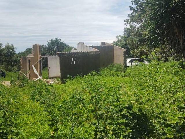 #542 - Fazenda para Venda em Monte Alegre de Goiás - GO - 2