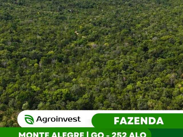 #542 - Fazenda para Venda em Monte Alegre de Goiás - GO - 1