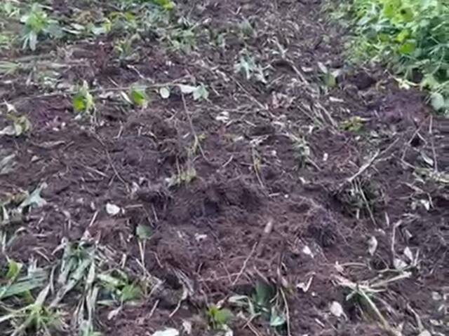 #546 - Fazenda para Venda em Marabá - PA - 2