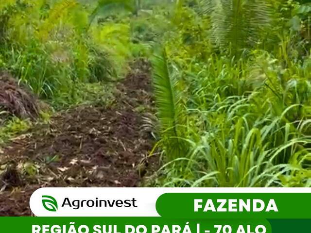 #546 - Fazenda para Venda em Marabá - PA - 1