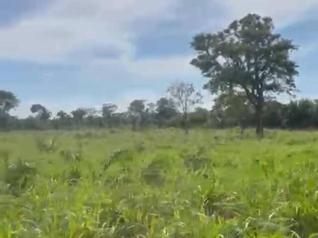 Fazenda para Venda em Marabá - 4