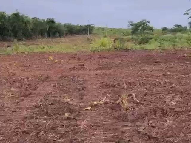#546 - Fazenda para Venda em Marabá - PA - 3