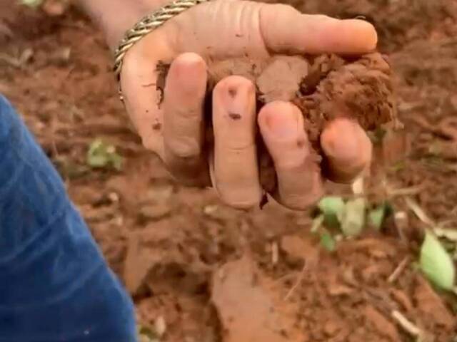 Fazenda para Venda em Marabá - 5