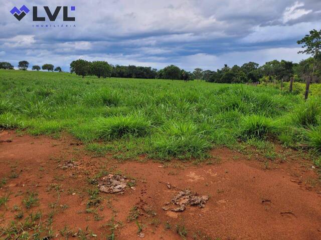 #548 - Fazenda para Venda em Palmas - TO - 2