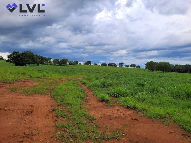 #548 - Fazenda para Venda em Palmas - TO - 3