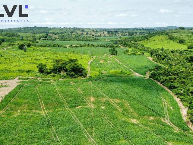 Chácara para Venda em Miranorte - 4