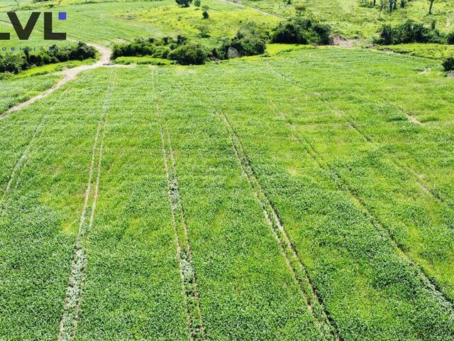 Chácara para Venda em Miranorte - 5