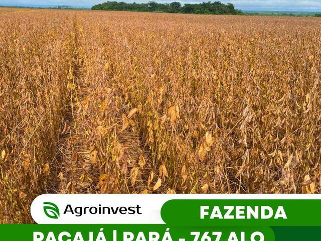 #550 - Fazenda para Venda em Pacajá - PA - 1