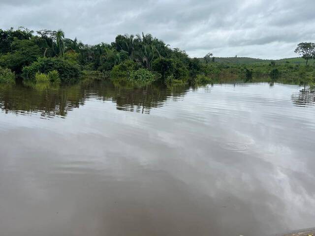 #553 - Fazenda para Venda em Itupiranga - PA - 3