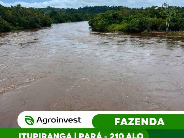 #553 - Fazenda para Venda em Itupiranga - PA - 1