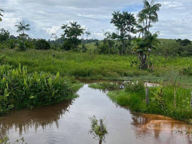 Fazenda para Venda em Itupiranga - 5