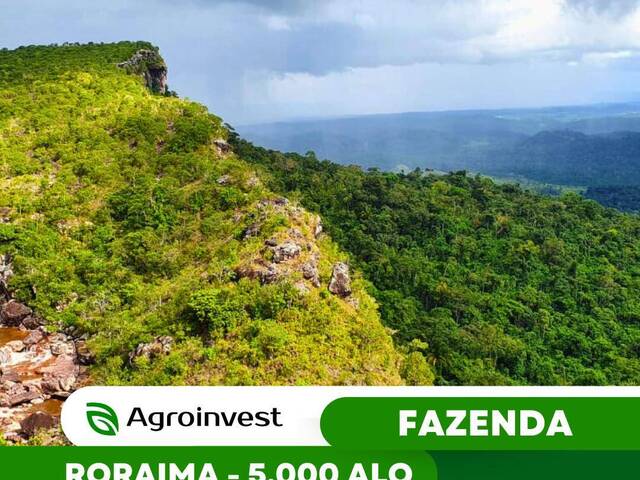 #554 - Fazenda para Venda em Boa Vista - RR - 1