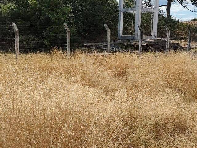 #555 - Fazenda para Venda em Castelo do Piauí - PI - 2