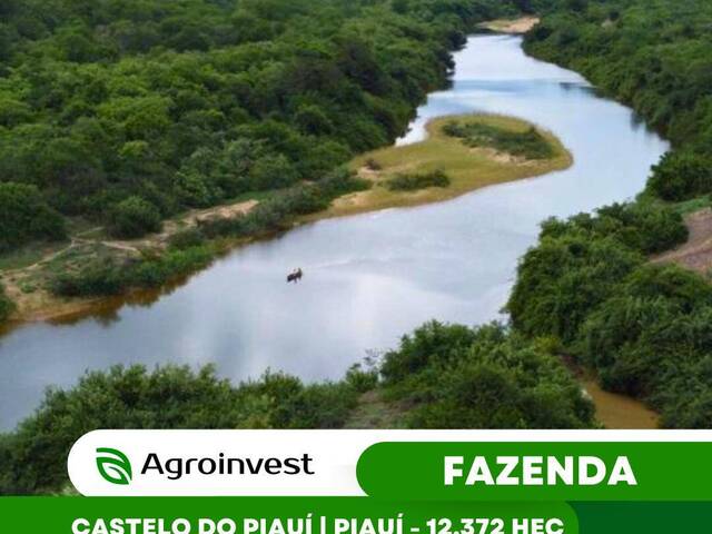 #555 - Fazenda para Venda em Castelo do Piauí - PI - 1