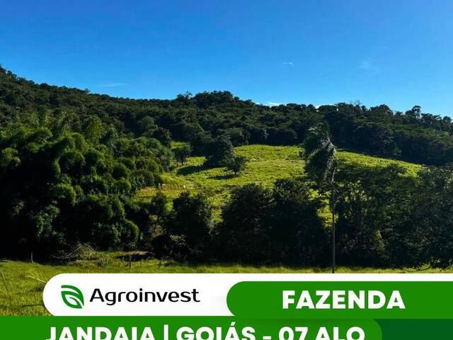 #556 - Fazenda para Venda em Jandaia - GO - 1