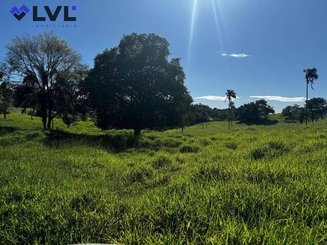 #556 - Fazenda para Venda em Jandaia - GO - 2
