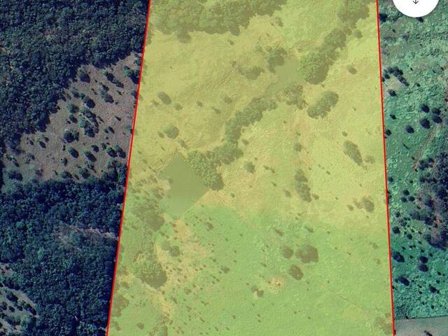 #556 - Fazenda para Venda em Jandaia - GO - 3