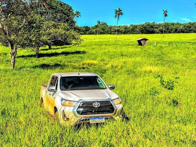 Fazenda para Venda em Jandaia - 4