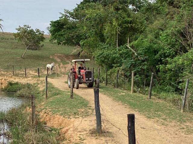 #561 - Fazenda para Venda em Santo Antônio do Descoberto - GO - 3